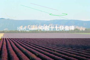 瓦房店中国十七块金牌