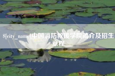 瓦房店中国消防救援学院简介及招生章程