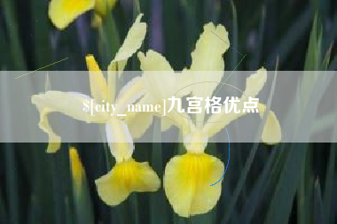 瓦房店九宫格优点