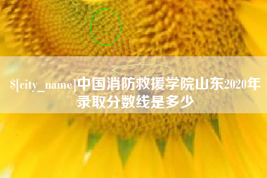 瓦房店中国消防救援学院山东2020年录取分数线是多少
