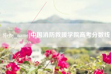 瓦房店中国消防救援学院高考分数线
