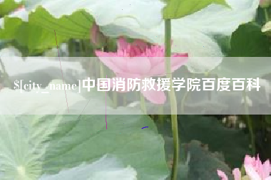 瓦房店中国消防救援学院百度百科
