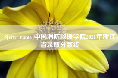瓦房店中国消防救援学院2021年浙江省录取分数线
