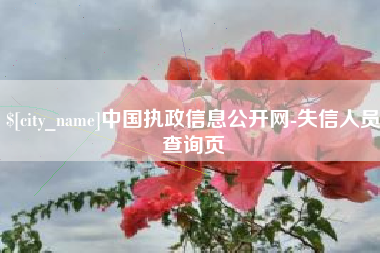 瓦房店中国执政信息公开网-失信人员查询页