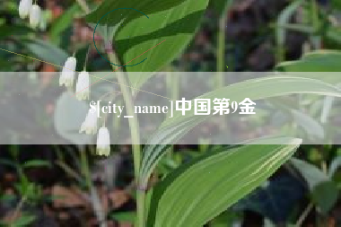 瓦房店中国第9金