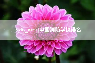 瓦房店中国消防学校排名