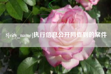 瓦房店执行信息公开网查到的案件