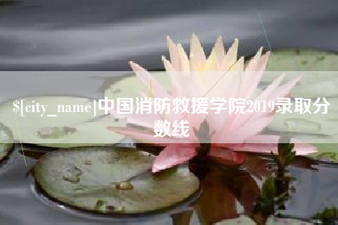 瓦房店中国消防救援学院2019录取分数线