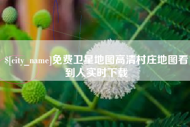 瓦房店免费卫星地图高清村庄地图看到人实时下载
