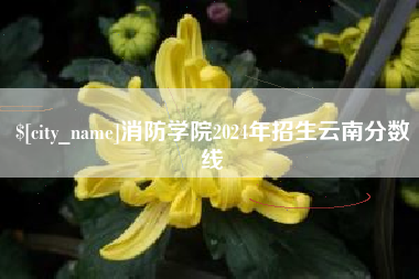 瓦房店消防学院2024年招生云南分数线