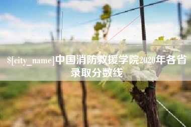 瓦房店中国消防救援学院2020年各省录取分数线