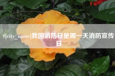 瓦房店我国消防日是哪一天消防宣传日