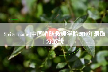 瓦房店中国消防救援学院2019年录取分数线