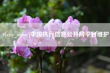 瓦房店中国执行信息公开网平台维护