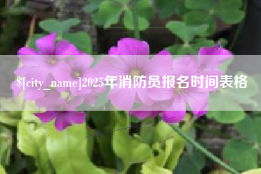 瓦房店2025年消防员报名时间表格