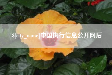 瓦房店中国执行信息公开网后