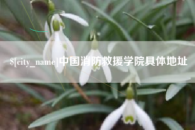 瓦房店中国消防救援学院具体地址