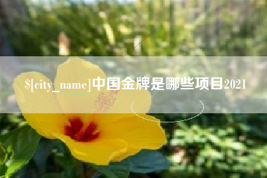 瓦房店中国金牌是哪些项目2021
