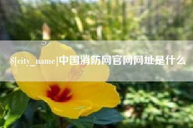 瓦房店中国消防网官网网址是什么