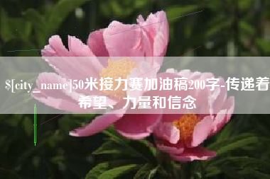 瓦房店50米接力赛加油稿200字-传递着希望、力量和信念