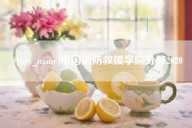 瓦房店中国消防救援学院分数2020