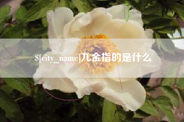 瓦房店九金指的是什么