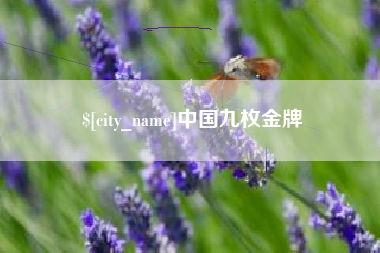 瓦房店中国九枚金牌