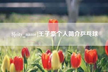 瓦房店王子豪个人简介乒乓球