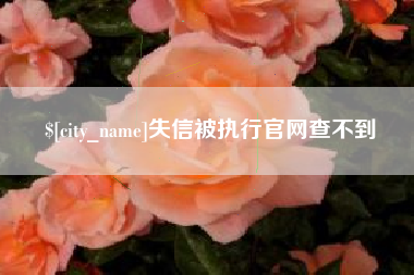 瓦房店失信被执行官网查不到
