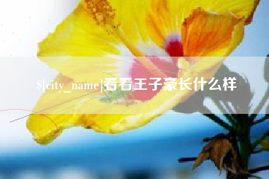 瓦房店看看王子豪长什么样