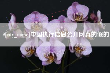 瓦房店中国执行信息公开网真的假的