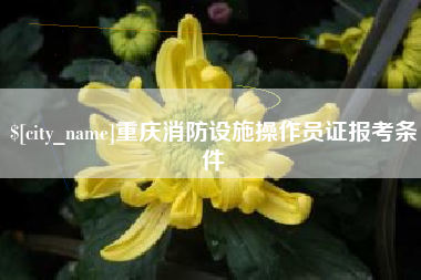 瓦房店重庆消防设施操作员证报考条件