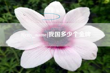 瓦房店我国多少个金牌