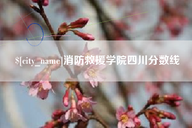 瓦房店消防救援学院四川分数线