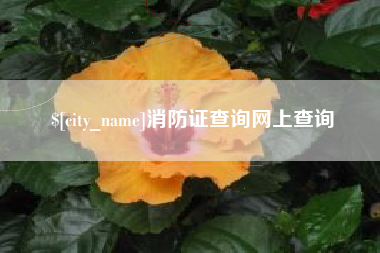 瓦房店消防证查询网上查询