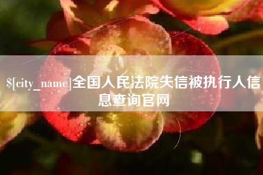 瓦房店全国人民法院失信被执行人信息查询官网