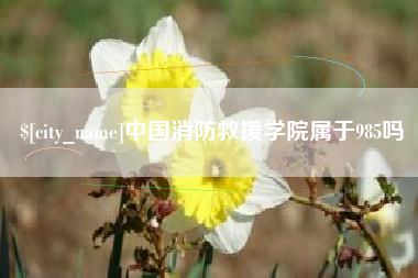 瓦房店中国消防救援学院属于985吗