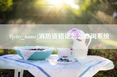 瓦房店消防资格证怎么查询系统