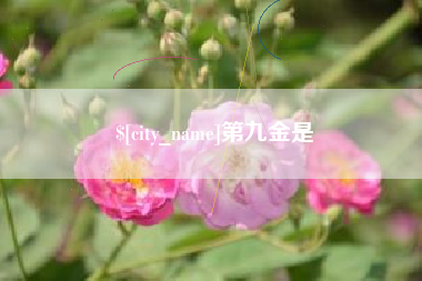 瓦房店第九金是