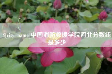 瓦房店中国消防救援学院河北分数线是多少