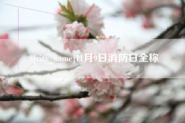 瓦房店11月9日消防日全称