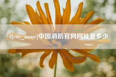 瓦房店中国消防官网网址是多少