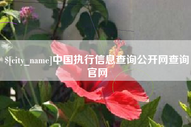 瓦房店中国执行信息查询公开网查询官网