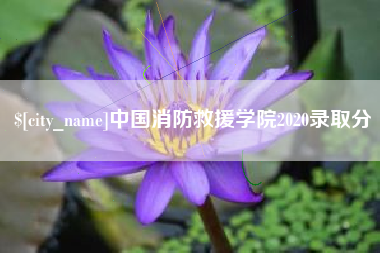 瓦房店中国消防救援学院2020录取分