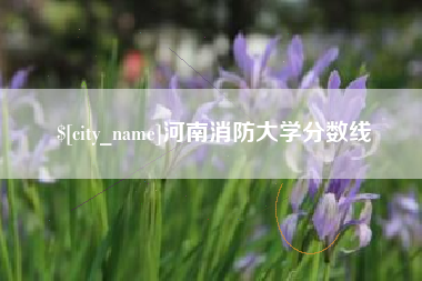 瓦房店河南消防大学分数线