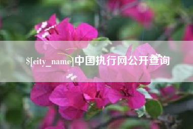 瓦房店中国执行网公开查询