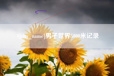 瓦房店男子世界5000米记录