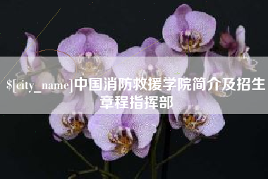 瓦房店中国消防救援学院简介及招生章程指挥部