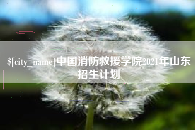 瓦房店中国消防救援学院2021年山东招生计划