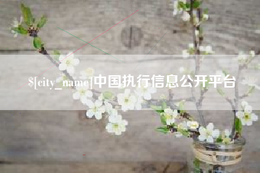 瓦房店中国执行信息公开平台